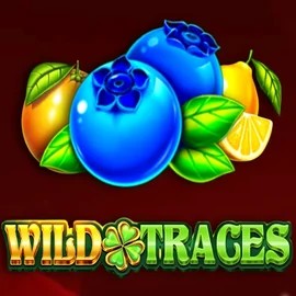 Enjoy Wild Traces by Amusnet Interactive – logo hosted on rollflames.com